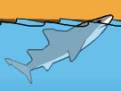 Katil köpek balığı