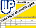 Sans topu otomatik oyna 